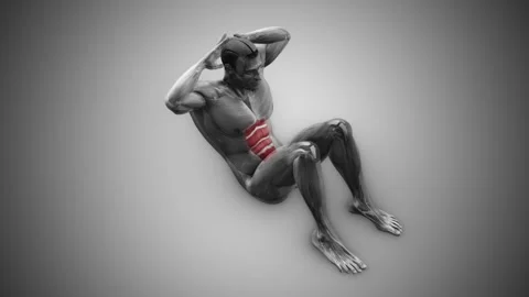 Abdominal Muscles Highlighted During Crunches 動画素材 296321351