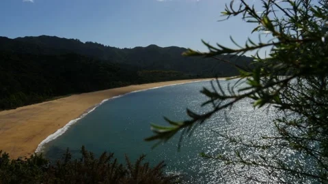 Abel Tasman Beach Video stock 130865795