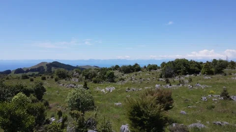 Abel Tasman 動画素材 246382713