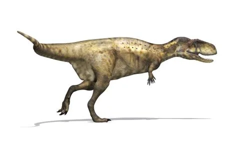 Abelisaurus Dinosaur Stock Illustration