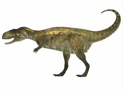 Abelisaurus dinosaur, white background. 스톡 일러스트