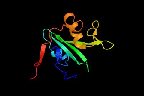 Abelson murine leukemia viral oncogene homolog 1, a protein that, in humans.. Illustration