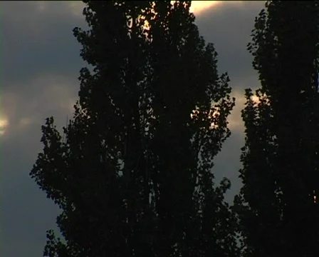 Abendhimmel01 Video stock 94369