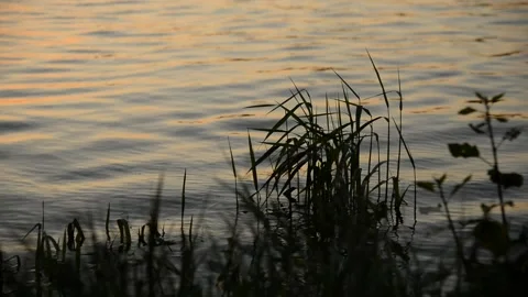 Abends am Fluss 库存影片 160859165