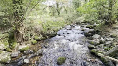 Aber Fall Stock Footage 288194025