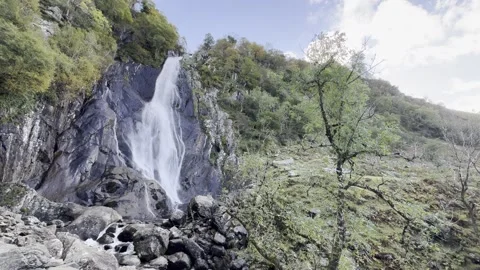 Aber Fall Stock Footage 288194111