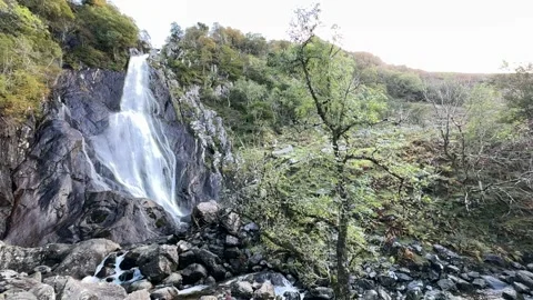 Aber Fall Stock Footage 288194226