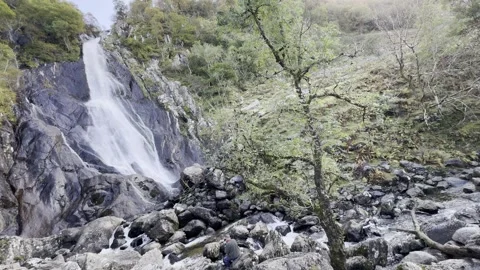 Aber Fall Stock Footage 288194227