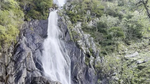 Aber Fall Stock Footage 288194248