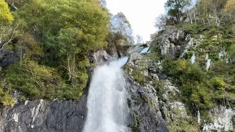 Aber Fall Stock Footage 288194281