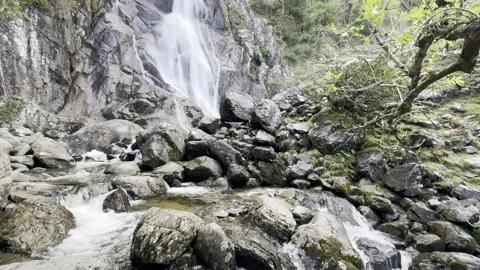 Aber Fall Stock Footage 288194336