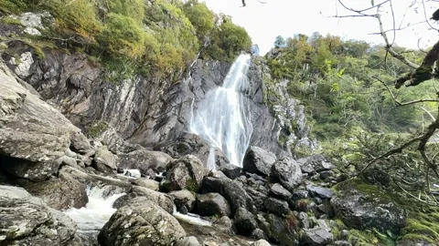 Aber Fall Stock Footage 288194400