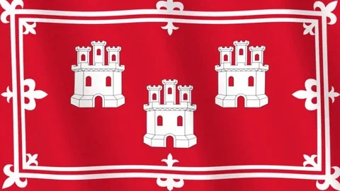 Aberdeen realistic flag looping HD background Stock Footage 84205191