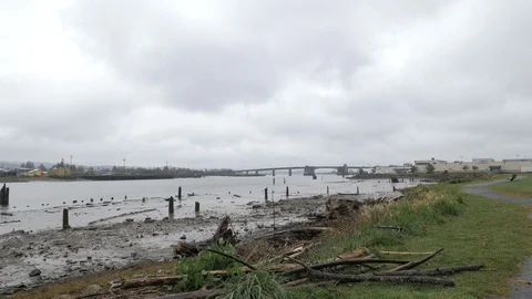 Aberdeen, Washington Scenics Vidéo 126985115
