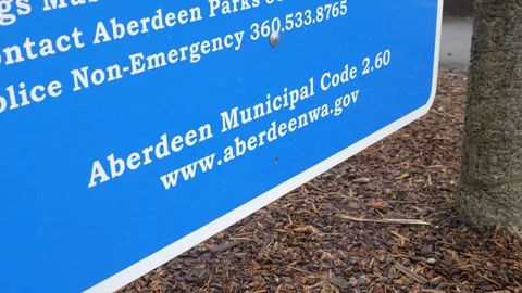 Aberdeen, Washington Scenics Vidéo 126985865