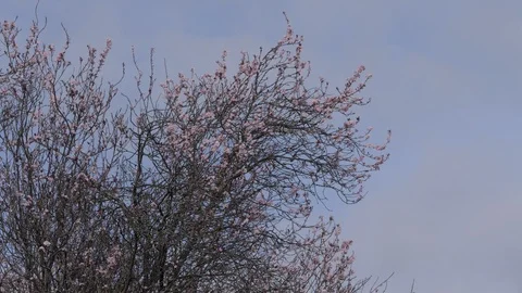 Aberdeen, Washington Scenics Vidéo 127037938