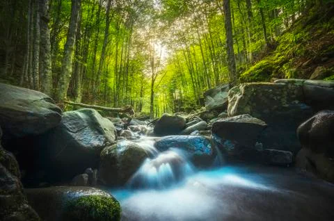 Abetone, stream waterfall inside a forest. Apennines, Tuscany, Italy. Stock Photos