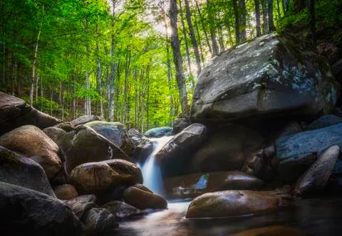 Abetone, stream waterfall inside a forest. Apennines, Tuscany, Italy. Stock Photos