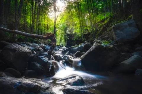 Abetone, stream waterfall inside a forest. Apennines, Tuscany, Italy. Stock Photos