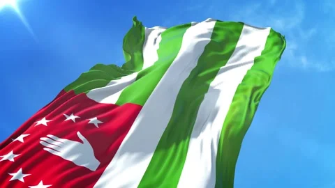 Abhkazia Flag Low Angle View Stock Footage 295682581
