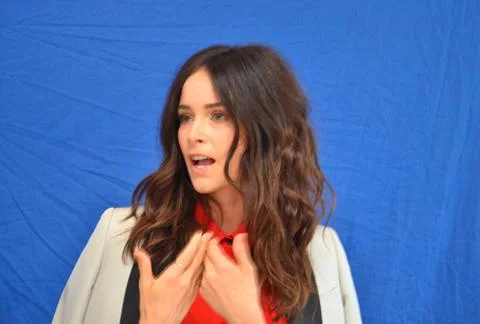  Abigail Spencer at the press junket for Rectify in Los Angeles - 11 April... Stock Photos
