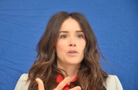  Abigail Spencer at the press junket for Rectify in Los Angeles - 11 April... Stock Photos