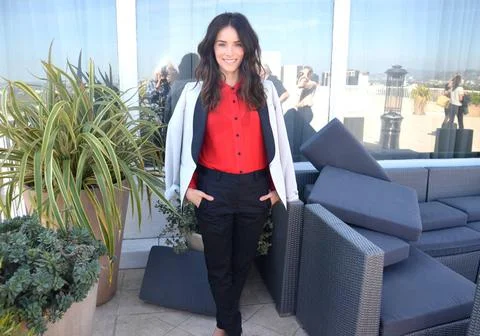  Abigail Spencer at the press junket for Rectify in Los Angeles - 11 April... Stock Photos