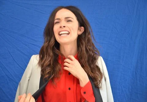  Abigail Spencer at the press junket for Rectify in Los Angeles - 11 April... Stock Photos