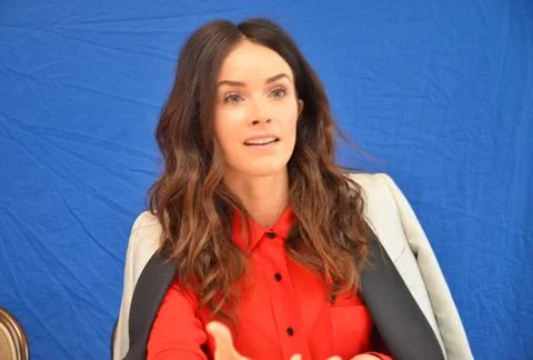  Abigail Spencer at the press junket for Rectify in Los Angeles - 11 April... Stock Photos
