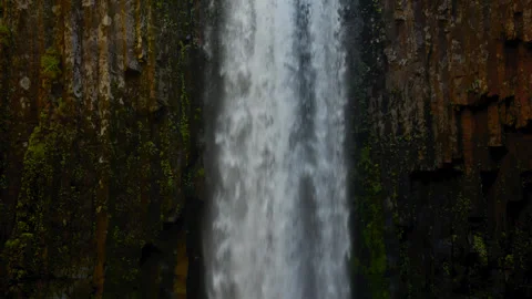 Abiqua Falls Waterfall Between Mossy Canyon Walls in Oregon Stock Footage 343025508