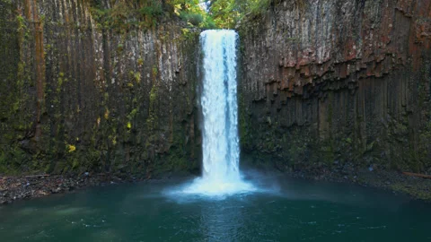 Abiqua Falls Waterfall Dropping into Calm Pool Beneath Basalt Cliffs Stock Footage 343019114