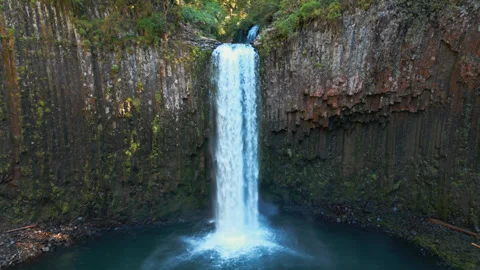 Abiqua Falls Waterfall Plunging into Emerald Pool Beneath Basalt Cliffs Stock Footage 343014709