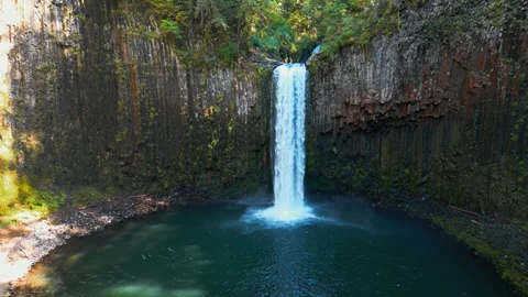 Abiqua Falls Waterfall Plunging into Tranquil Pool Beneath Basalt Cliffs Stock Footage 343012799