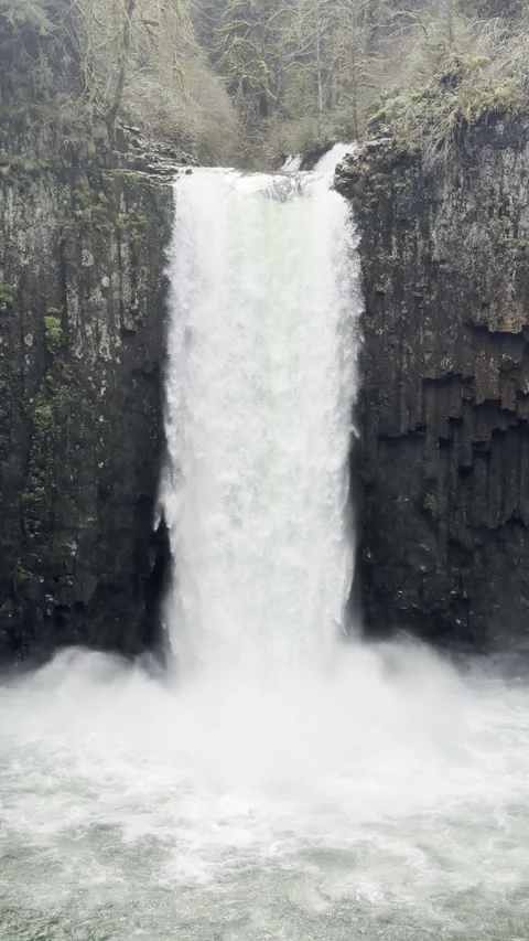 Abiqua waterfalls in the forest of Oregon. Stock Footage 332034475