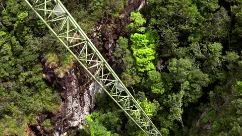 Abis Stock Footage 151914812