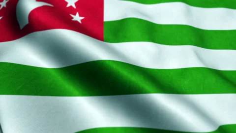 Abkhazia Flag Waving In The Wind. Looping Sun Rises Style. Animation Loop Видео 206141673