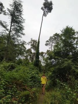 Abkhazia Stock Photos