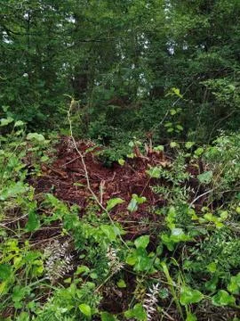 Abkhazia Stock Photos