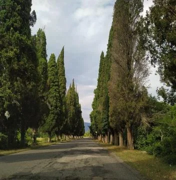 Abkhazia Stock Photos