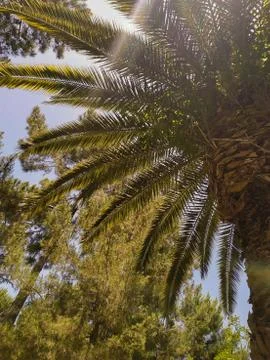 Abkhazia Stock Photos