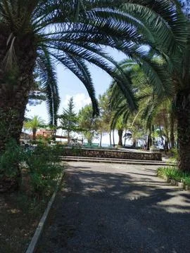 Abkhazia Stock Photos