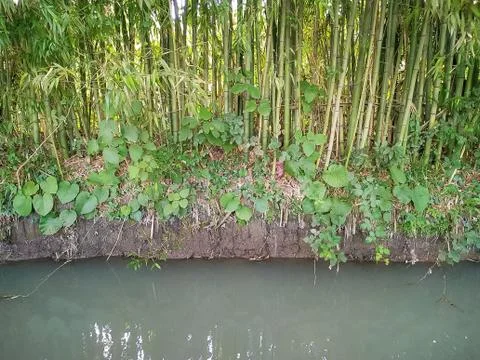 Abkhazia Stock Photos