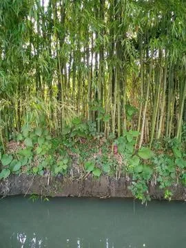 Abkhazia Stock Photos