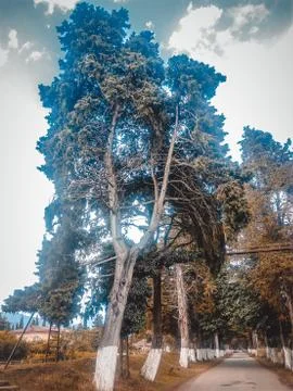 Abkhazia Stock Photos