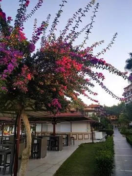 Abkhazia Stock Photos