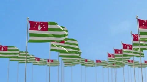 Abkhazia Row Of Flags Animation Vídeo Stock 148610450