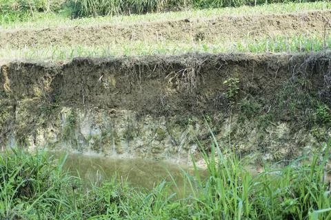 Ablation, Foto stock