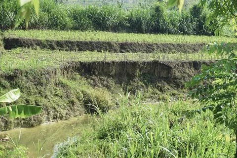 Ablation, Stock Photos