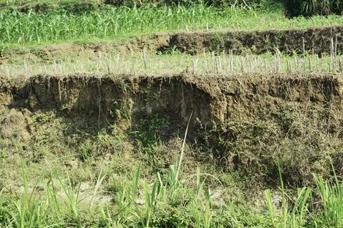 Ablation, Stock Photos