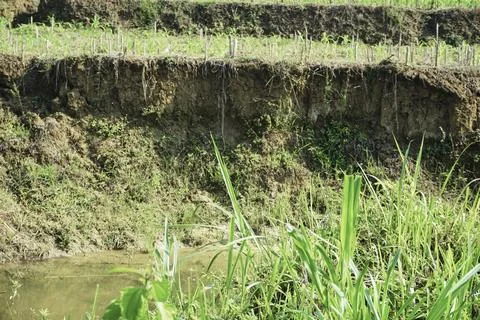 Ablation, Stock Photos